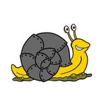 SnailArmor